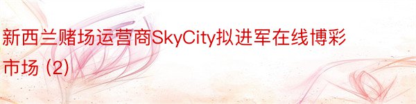新西兰赌场运营商SkyCity拟进军在线博彩市场 (2)
