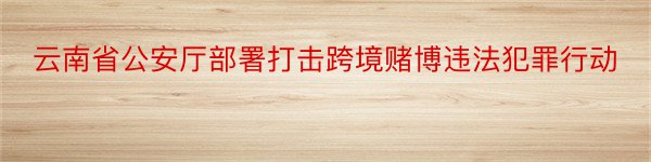 云南省公安厅部署打击跨境赌博违法犯罪行动